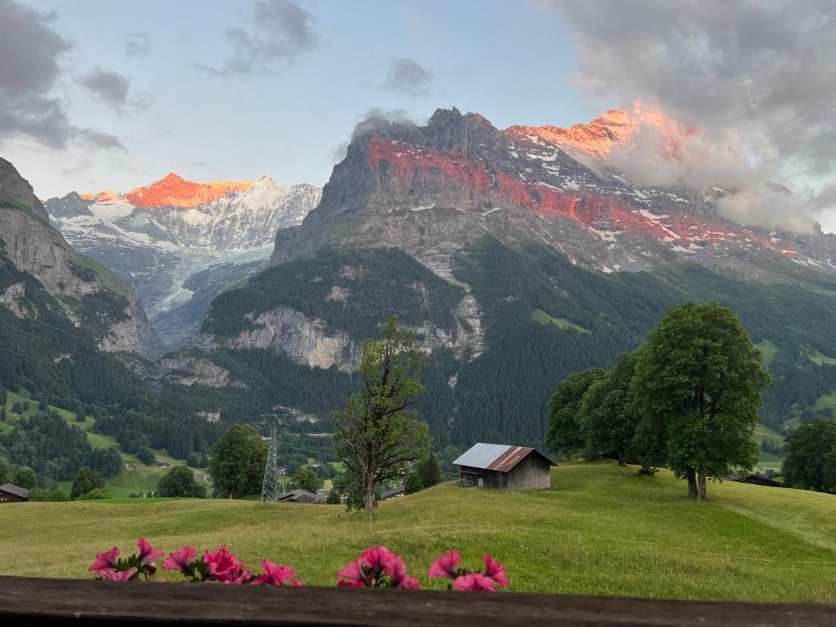 Hotel Bodmi Grindelwald Ngoại thất bức ảnh