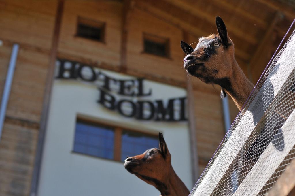 Hotel Bodmi Grindelwald Ngoại thất bức ảnh
